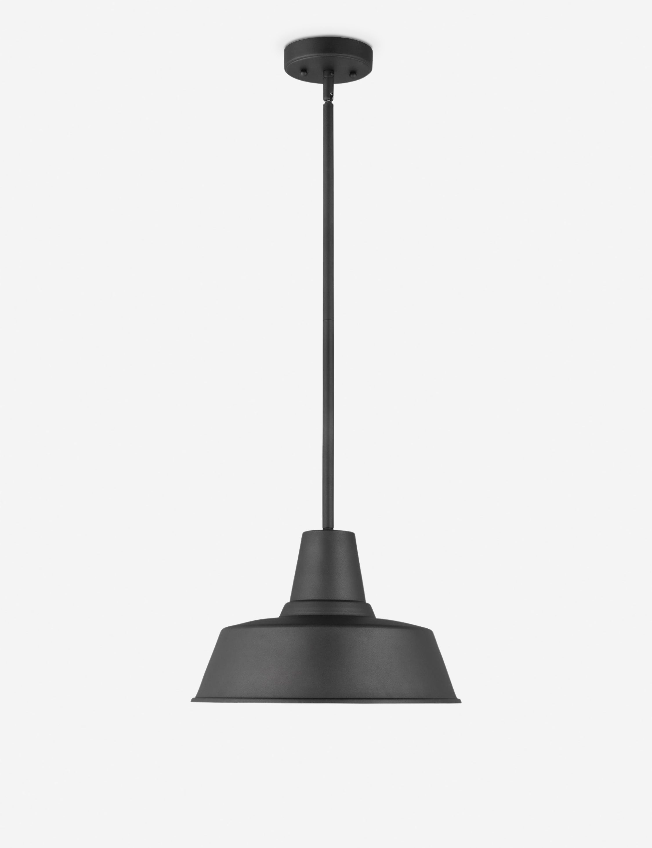 Fisher Outdoor Pendant Light - Black / 14" Dia