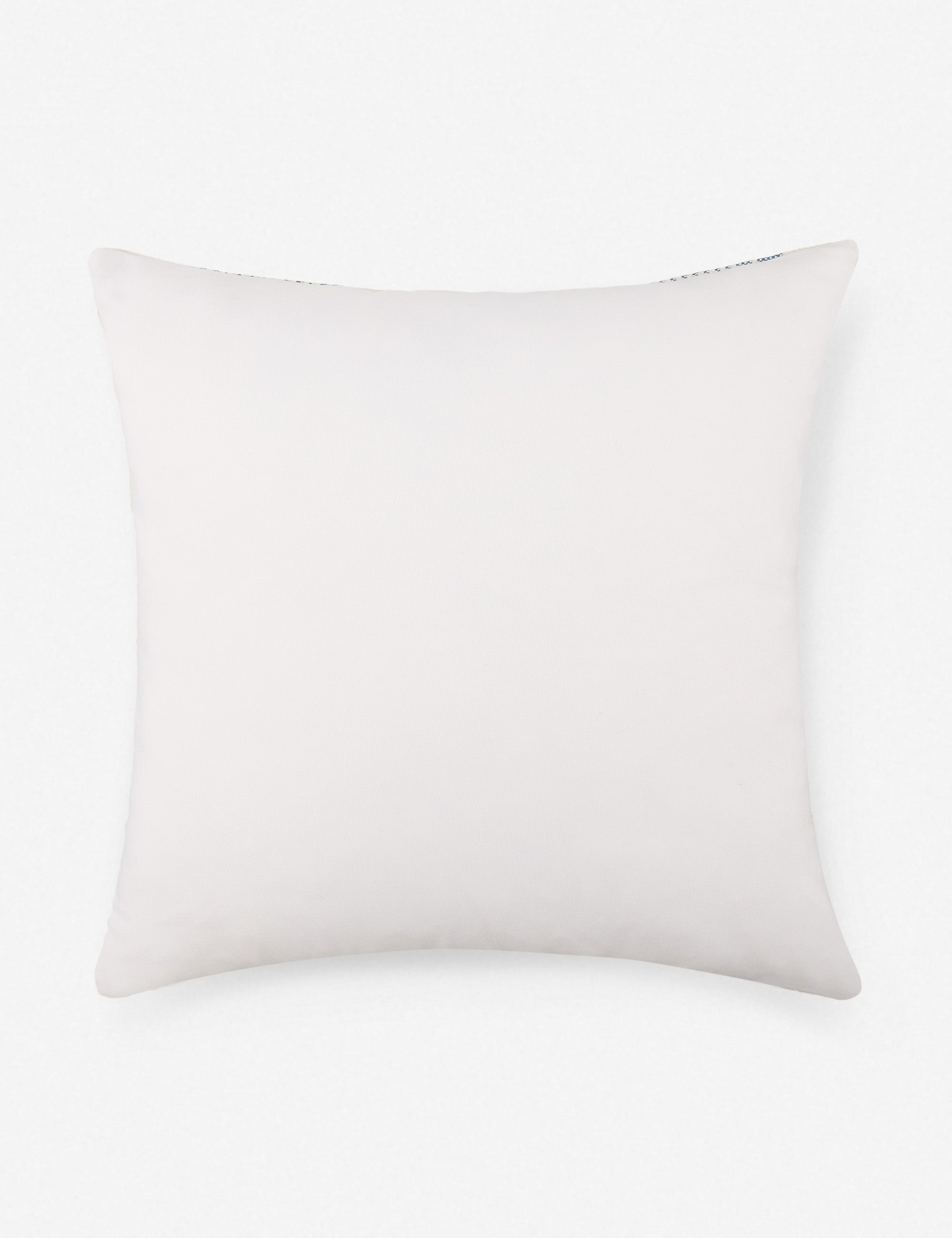 Kristian Indoor / Outdoor Pillow - Blue / 20" x 20"