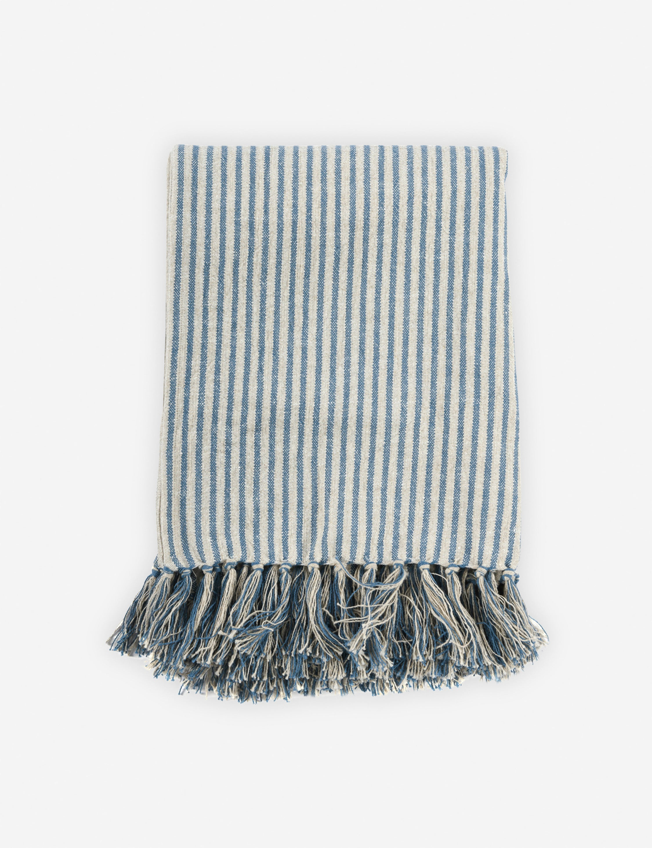 Stasiya Indoor / Outdoor Throw, 50" x  70", Blue and Natural