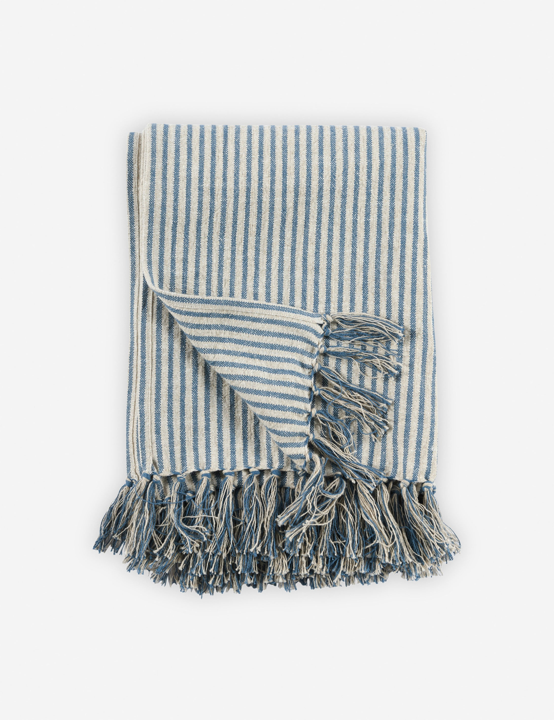 Stasiya Indoor / Outdoor Throw, 50" x  70", Blue and Natural