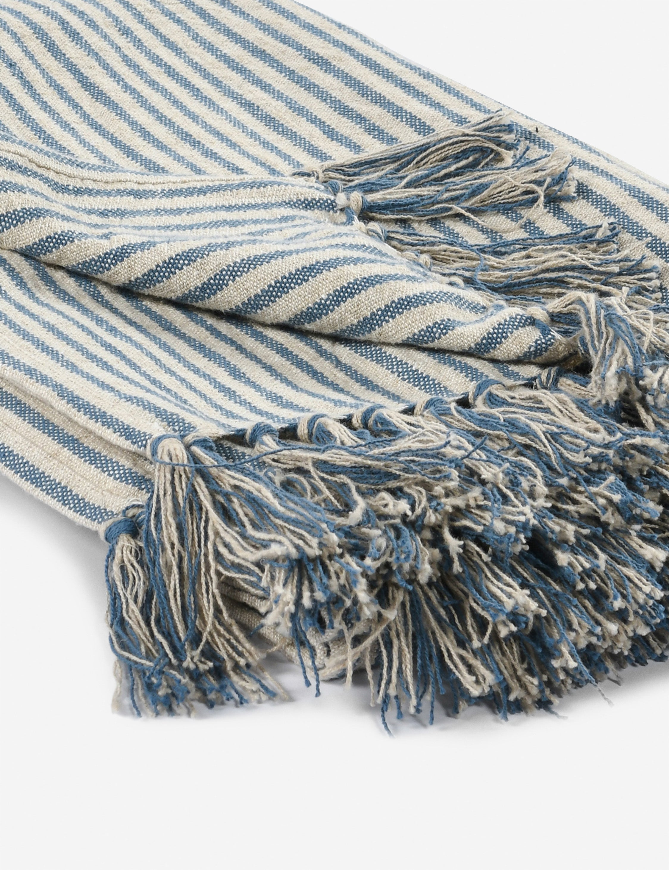 Stasiya Indoor / Outdoor Throw, 50" x  70", Blue and Natural