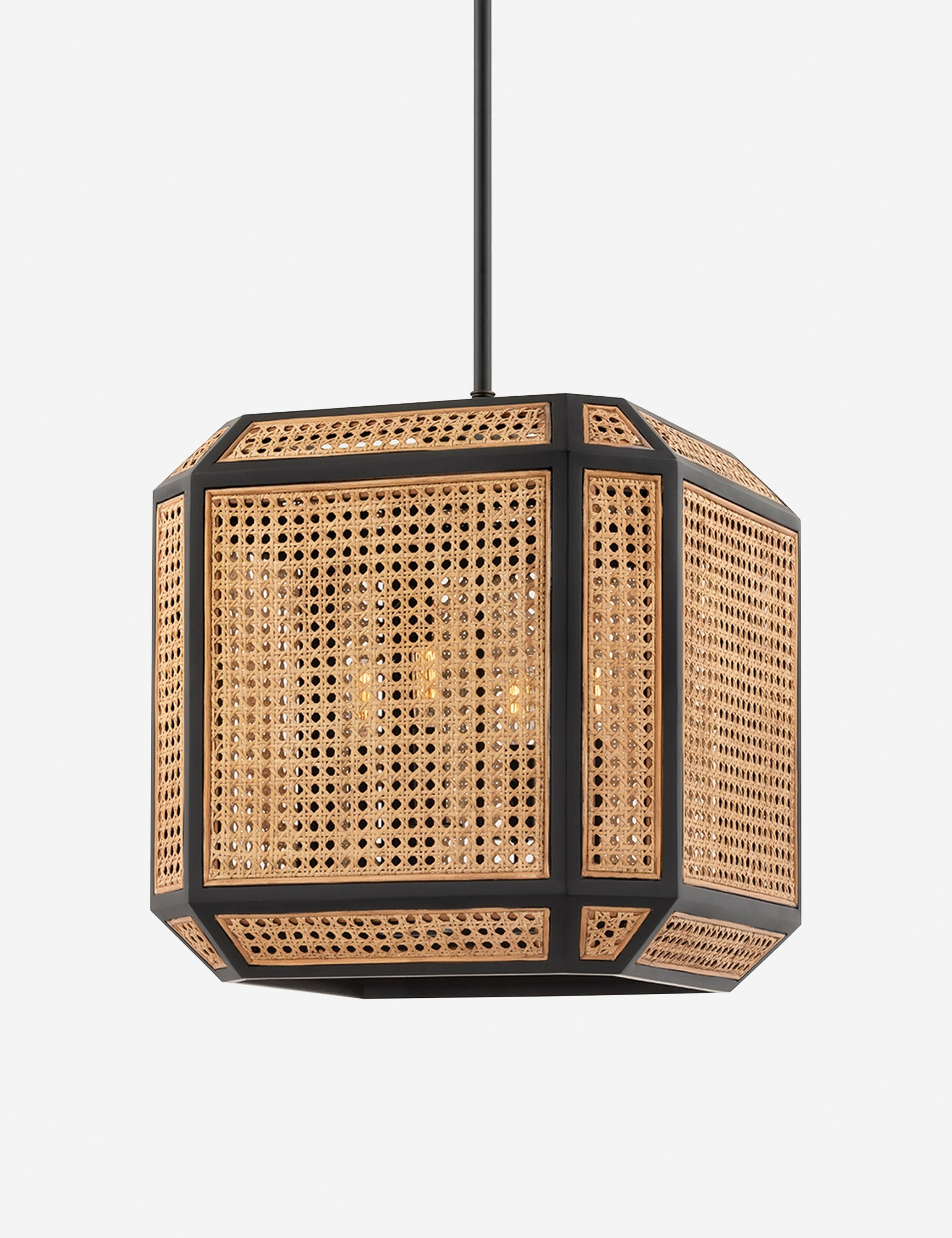 Santana Pendant Light - 4 Light