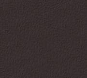Windsor Leather 10 Piece Watch Box