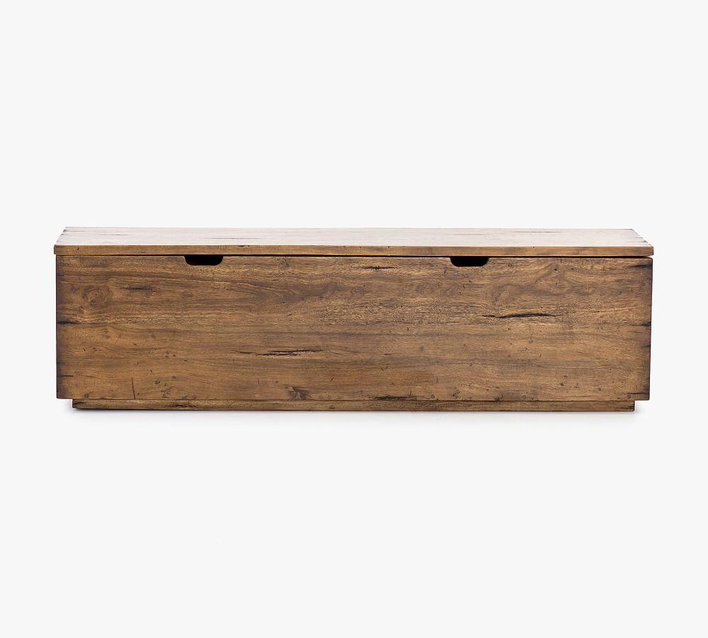 Duncan Modern Reclaimed Fruitwood 63'' Spacious Trunk