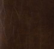 Trysta Dining Chair - Brown Leather