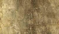 Lacquer Wood Trays - Square