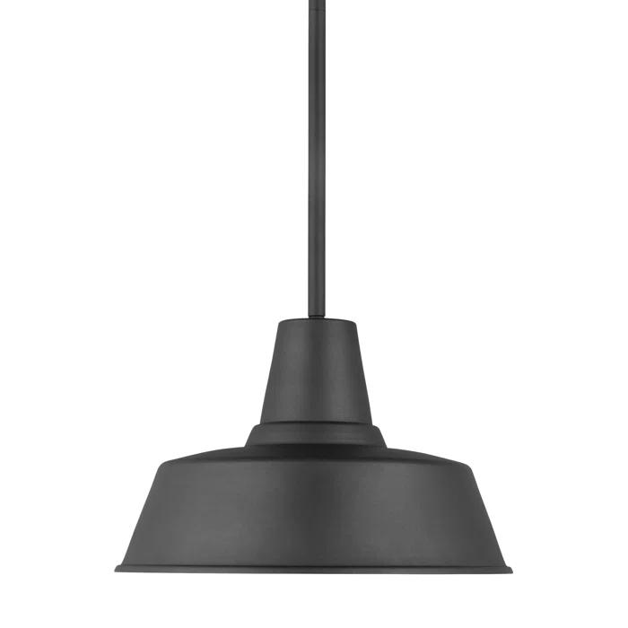 Fisher Outdoor Pendant Light - Black / 14" Dia
