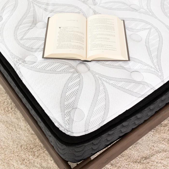 Signature Design by Ashley Serena 12'' Plush Hybrid Mattress