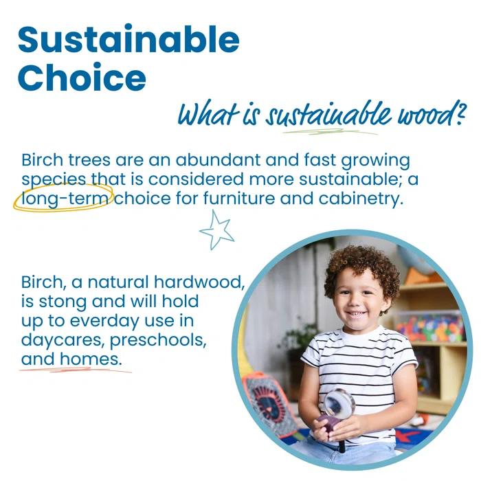 ECR4Kids ECR4Kids 5-Compartment Easy to Reach Book Display, Classroom Storage, Natural