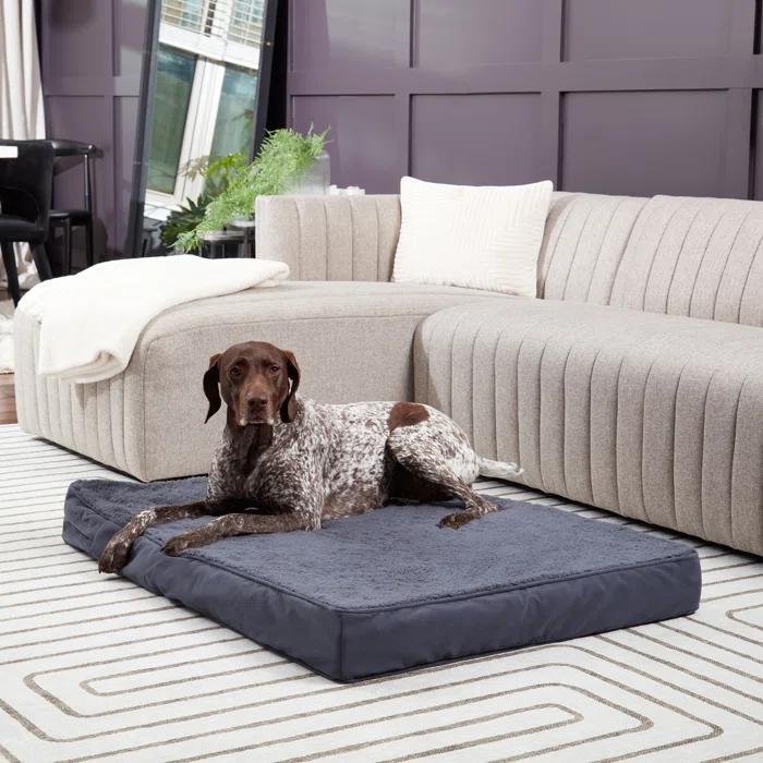 Lindholm Orthopedic Pillow Dog Bed