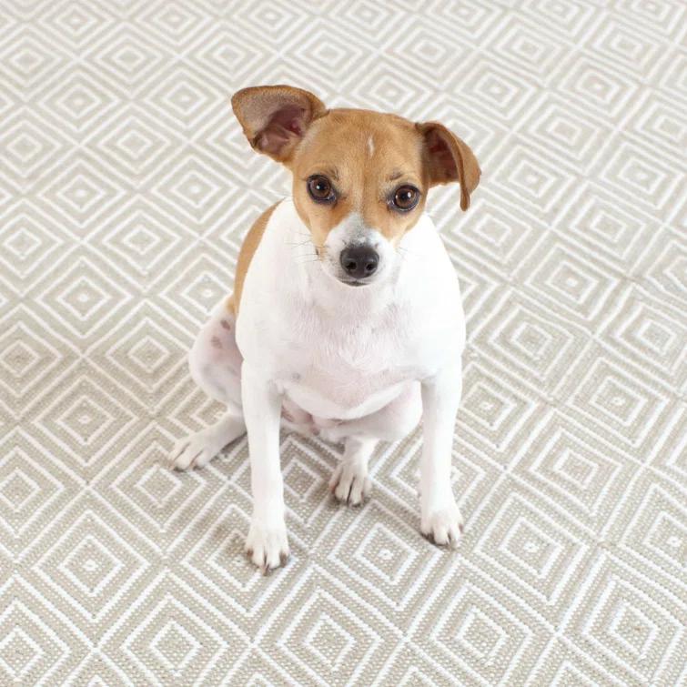 Diamond Platinum/White Handwoven Indoor/Outdoor Rug