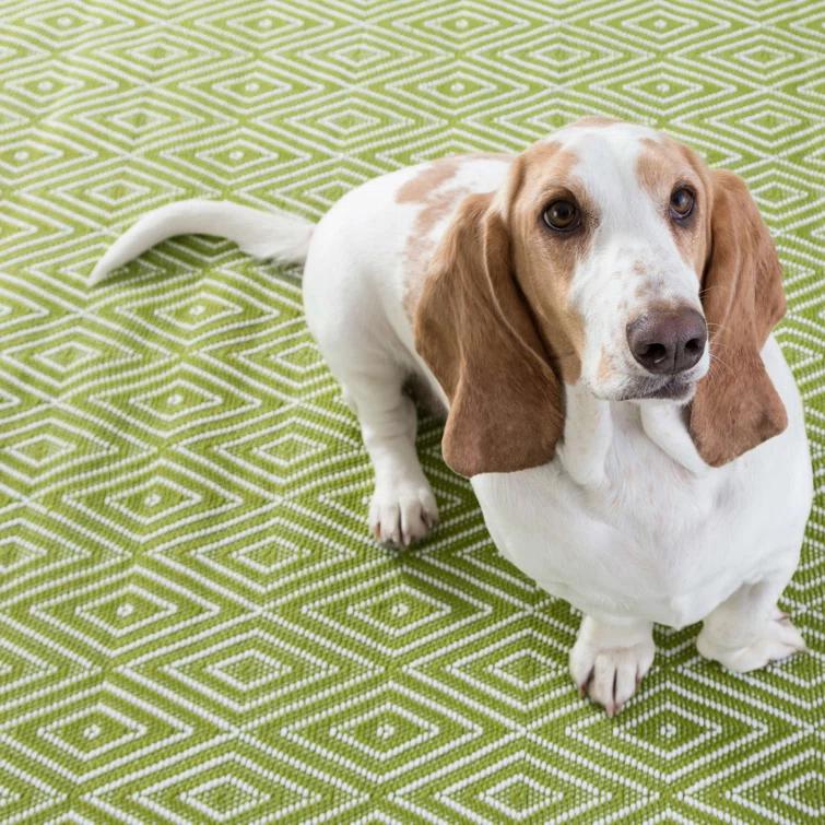 Diamond Sprout/White Handwoven Indoor/Outdoor Rug