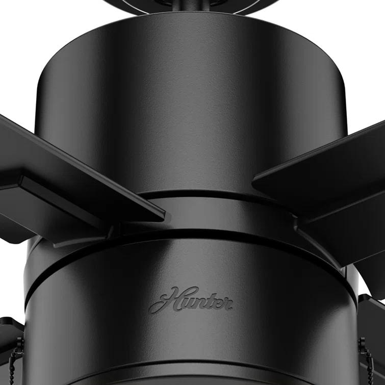 Hunter Fan 42" Beck 4 - Blade Standard Ceiling Fan with Pull Chain and Light Kit Included
