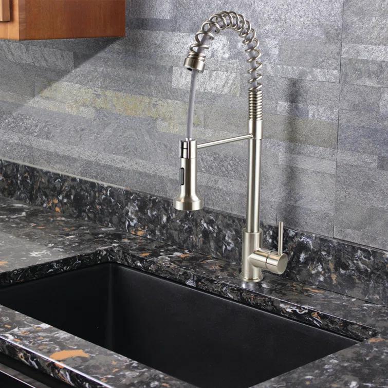 Transolid Cuisine Pro Pull Down Kitchen Faucet