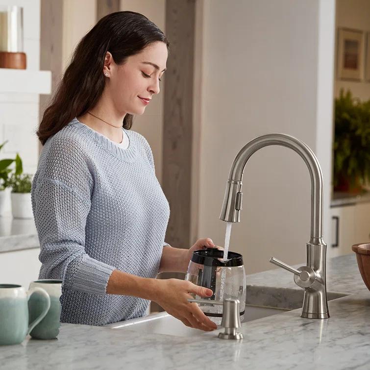 Joleena Pull Down Single Handle Kitchen Faucet
