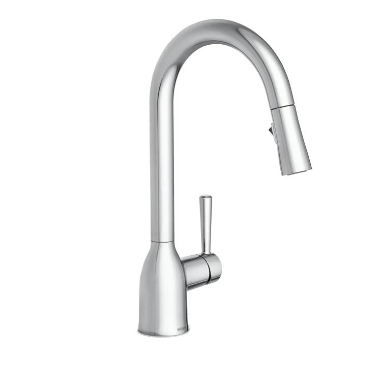 Adler Pull Down Single Handle Kitchen Faucet with Accessories