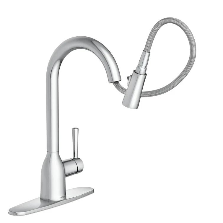 Adler Pull Down Single Handle Kitchen Faucet with Accessories