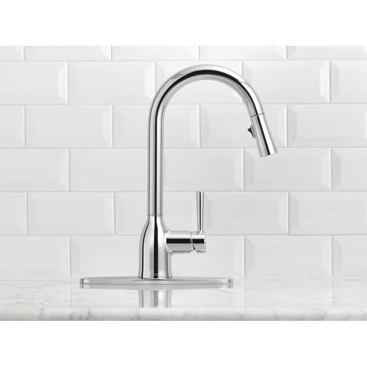 Adler Pull Down Single Handle Kitchen Faucet with Accessories