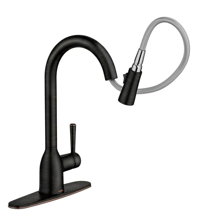 Adler Pull Down Single Handle Kitchen Faucet with Accessories