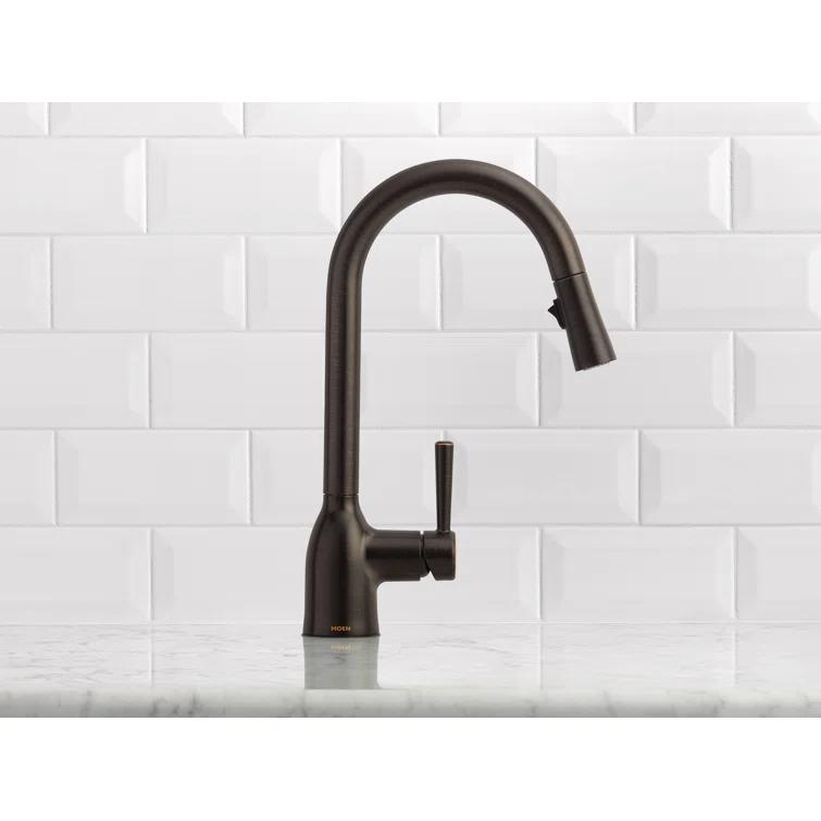 Adler Pull Down Single Handle Kitchen Faucet with Accessories