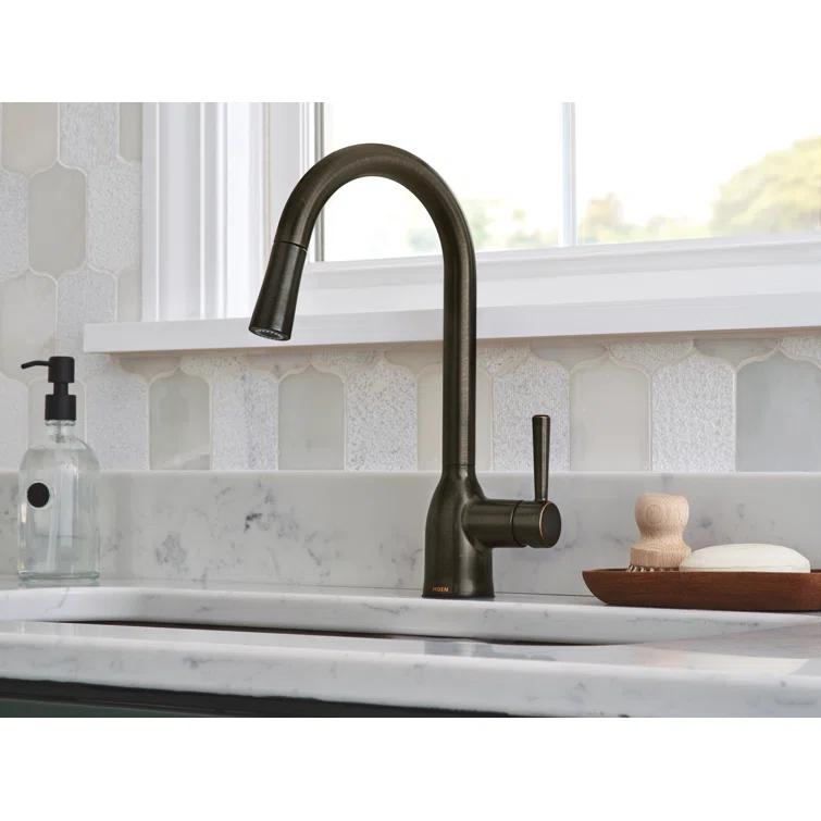 Adler Pull Down Single Handle Kitchen Faucet with Accessories