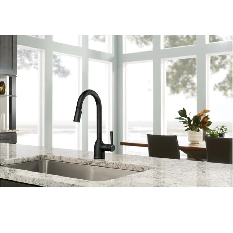 Adler Pull Down Single Handle Kitchen Faucet with Accessories