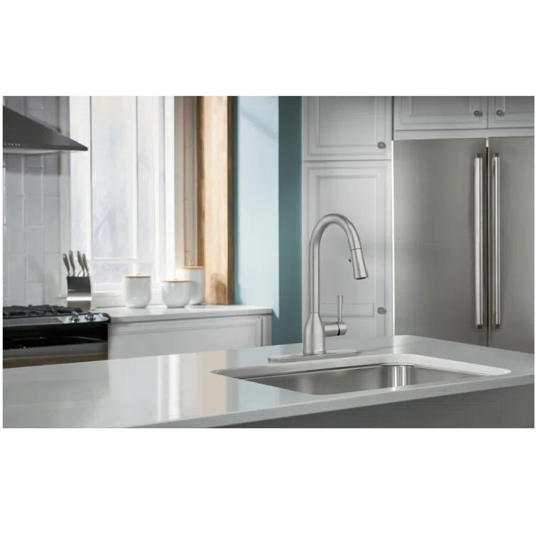 Adler Pull Down Single Handle Kitchen Faucet with Accessories