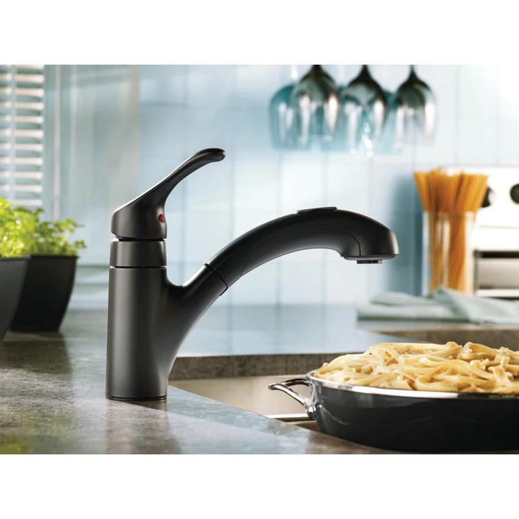 Renzo Single Handle Kitchen Faucet with Duralock