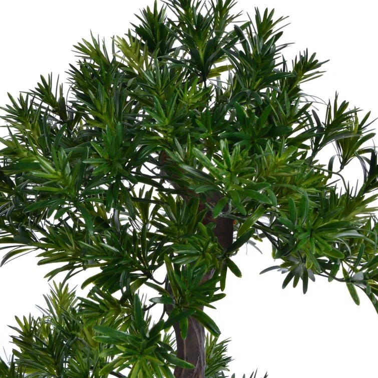 Panama 59" Yucca Bonsai Tree in Pot