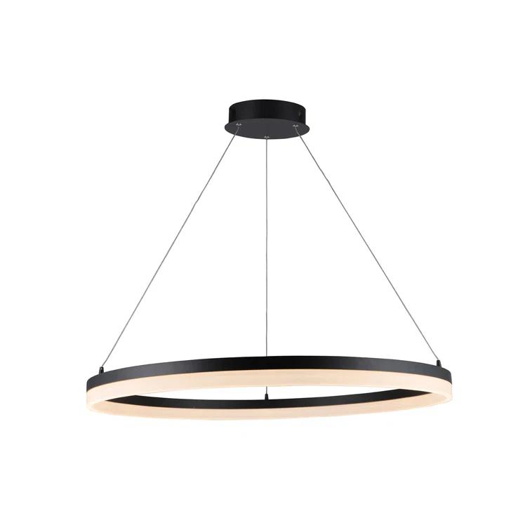 Black Aluminum 31-Inch Circular LED Pendant Light