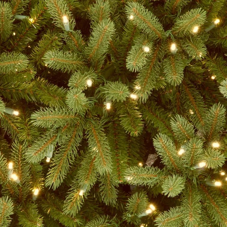 6.5' Prelit LED Medium Jersey Fraser Fir Artificial Christmas Tree Dual Color Lights - National Tree Company