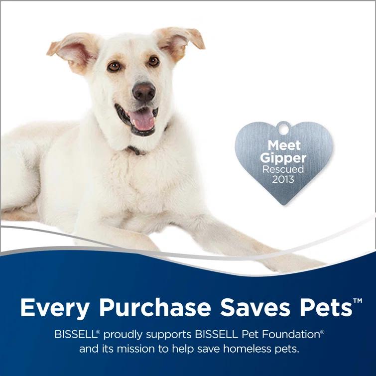 BISSELL 19404 BISSELL PowerFresh Pet Scrubbing & Sanitizing Steam Mop for Hard Floors 19401