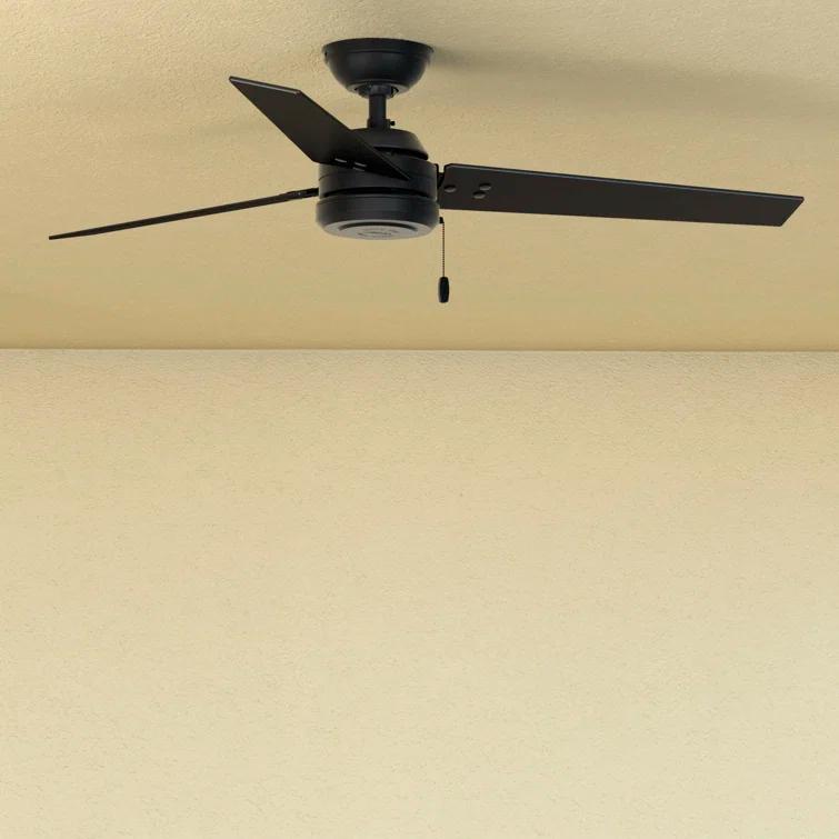 52" Cassius 3 - Blade Outdoor Standard Ceiling Fan with Pull Chain