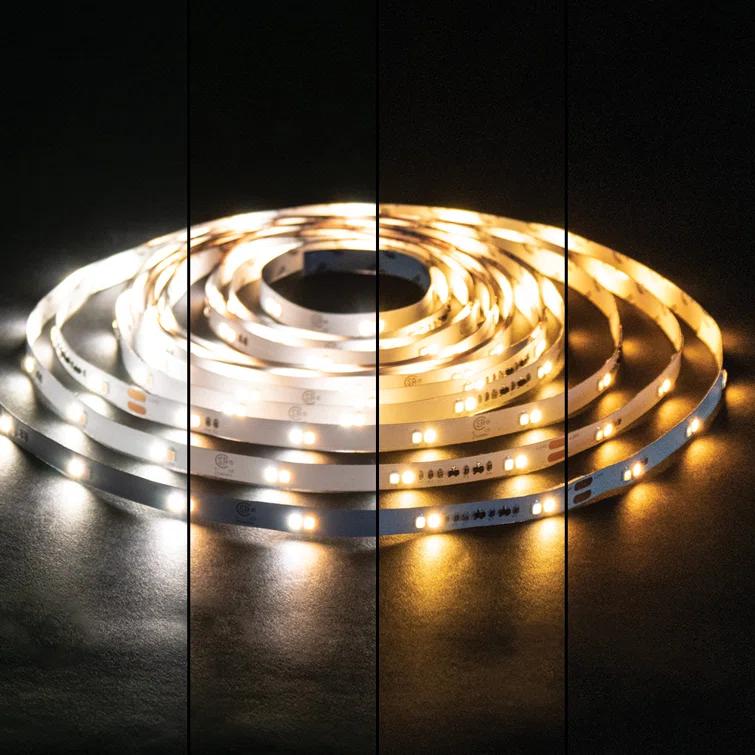 RibbonFlex Home 24V Dim-to-Warm White LED Strip Light Kit
