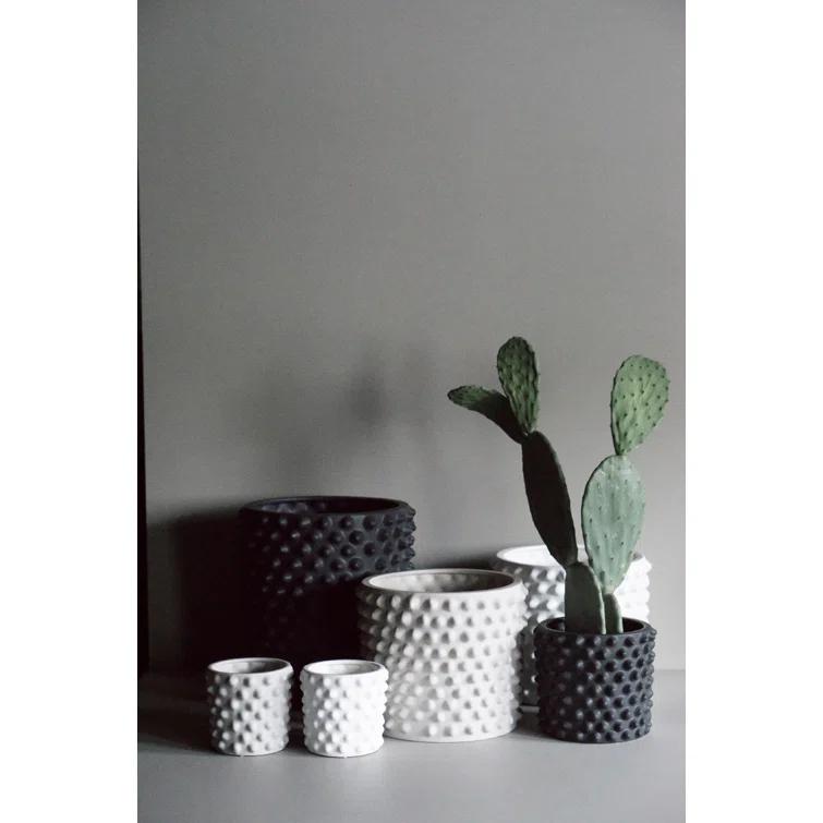 Cloudy Ceramic Pot Planter