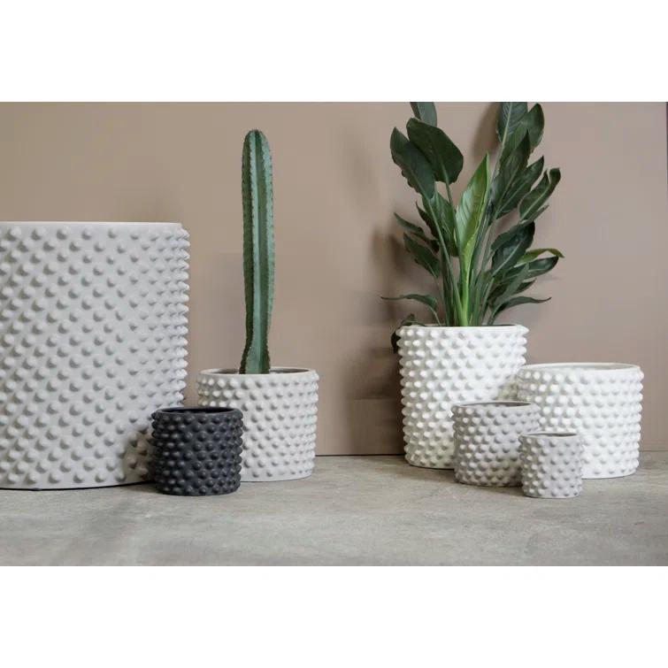 Cloudy Ceramic Pot Planter