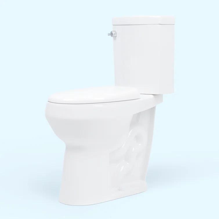 2-Piece 1.28/.09 GPF Dual Flush Elongated 20 in. Extra Tall Toilet in White, Seat Included