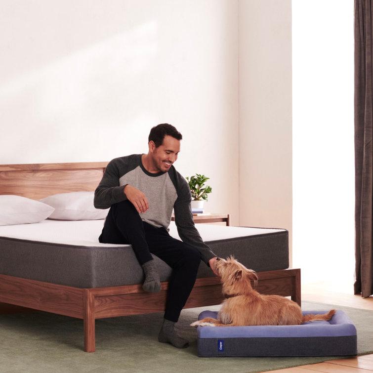 The Casper Dog Bed