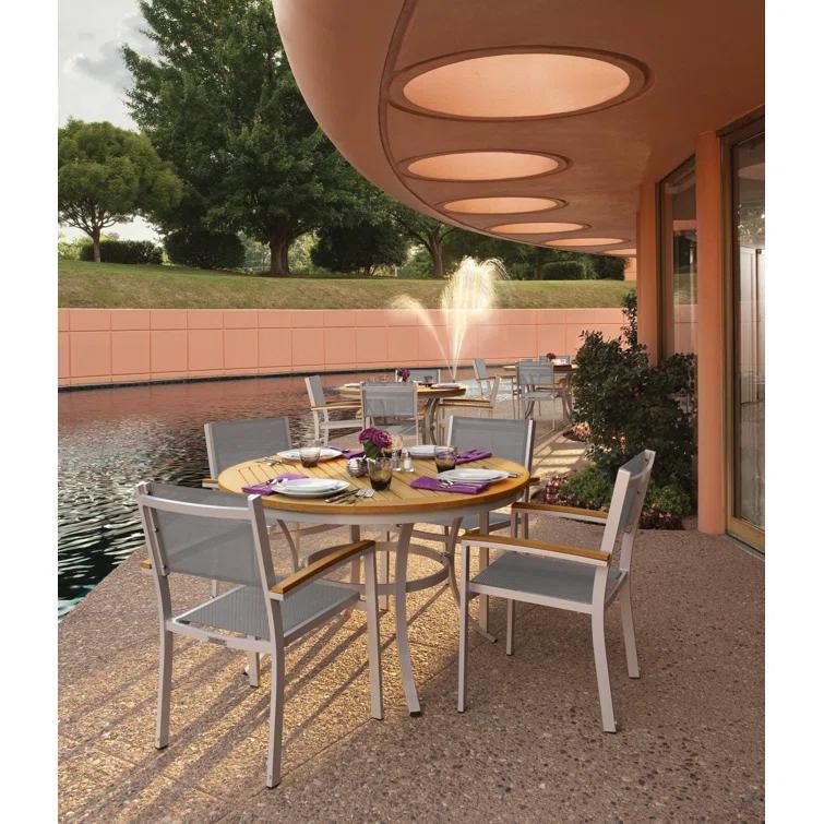 Hermes Indoor / Outdoor Dining Chair (Set of 2) - Gray and Carbon
