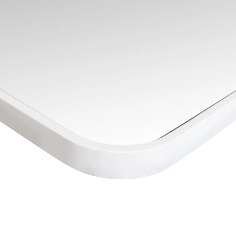 Trinity 22 in. x 48 in. Square Radius Mirror