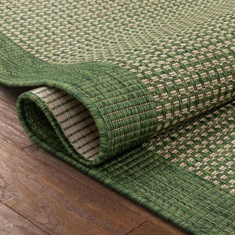 Marshanna Odin Solid Striped Border Indoor Outdoor Green Flatweave Rug