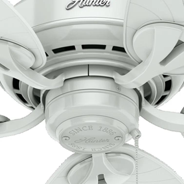 54" Bayview 5 - Blade Outdoor Tropical Leaf Ceiling Fan with Pull Chain
