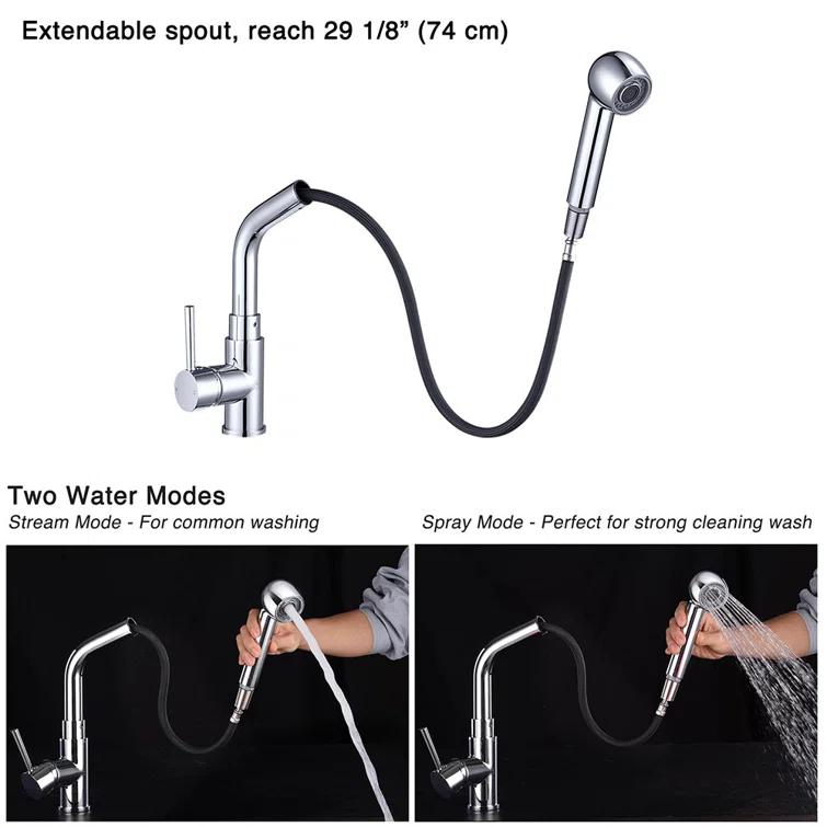 Aquaterior Pull Out Kitchen Faucet