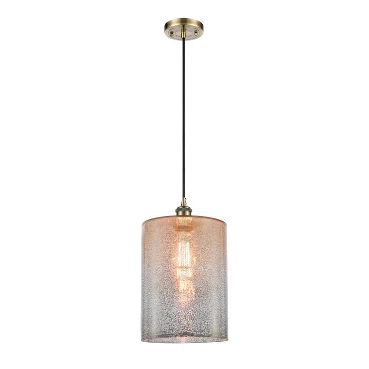 Cobbleskill 1 - Light Single Drop Pendant Pendant