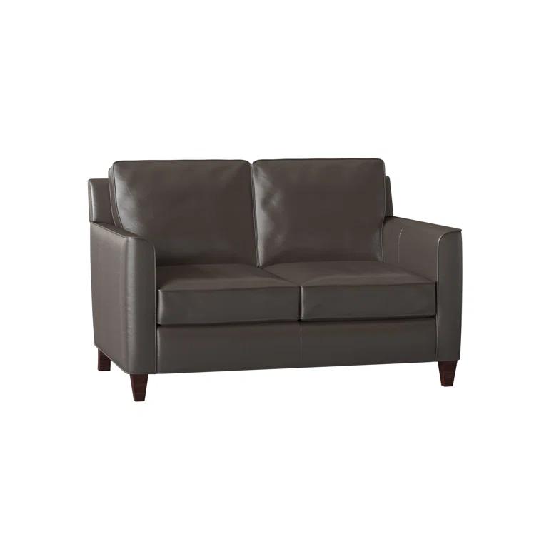 Yorba 54.5'' Leather Loveseat