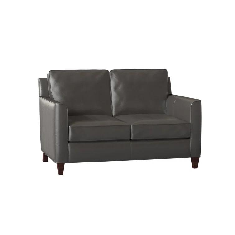 Yorba 54.5'' Leather Loveseat