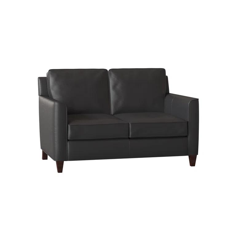 Yorba 54.5'' Leather Loveseat