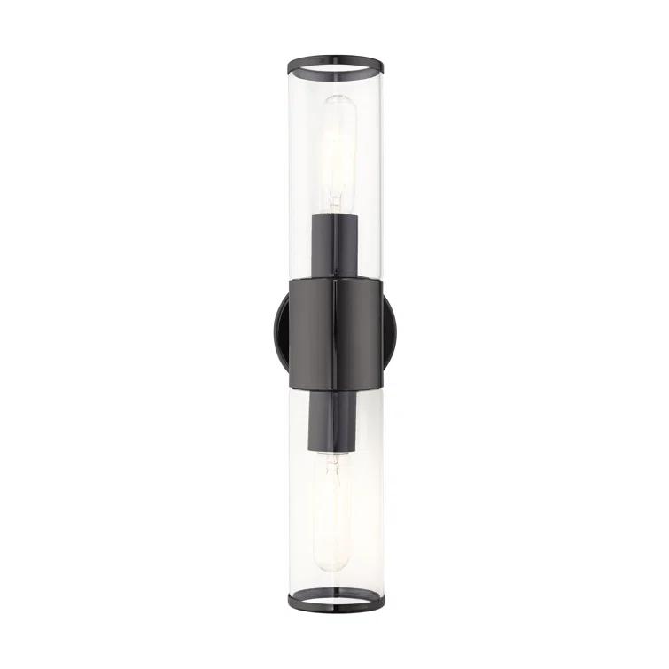 Wade Logan® Birchfield Dimmable Vanity Light