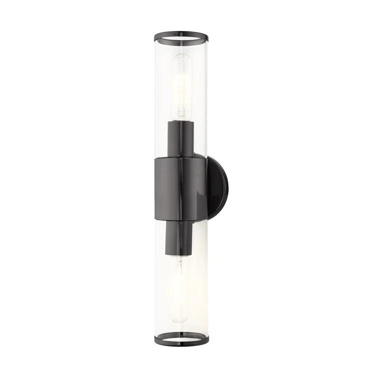Wade Logan® Birchfield Dimmable Vanity Light