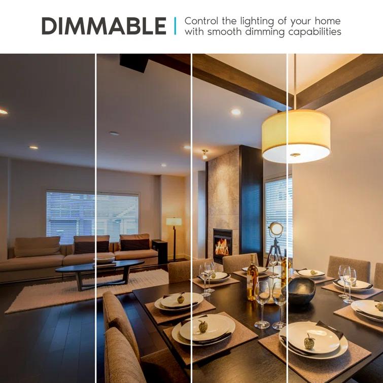 15 Watt (100 Watt Equivalent), A19 LED, Dimmable Light Bulb, E26/Medium (Standard) Base